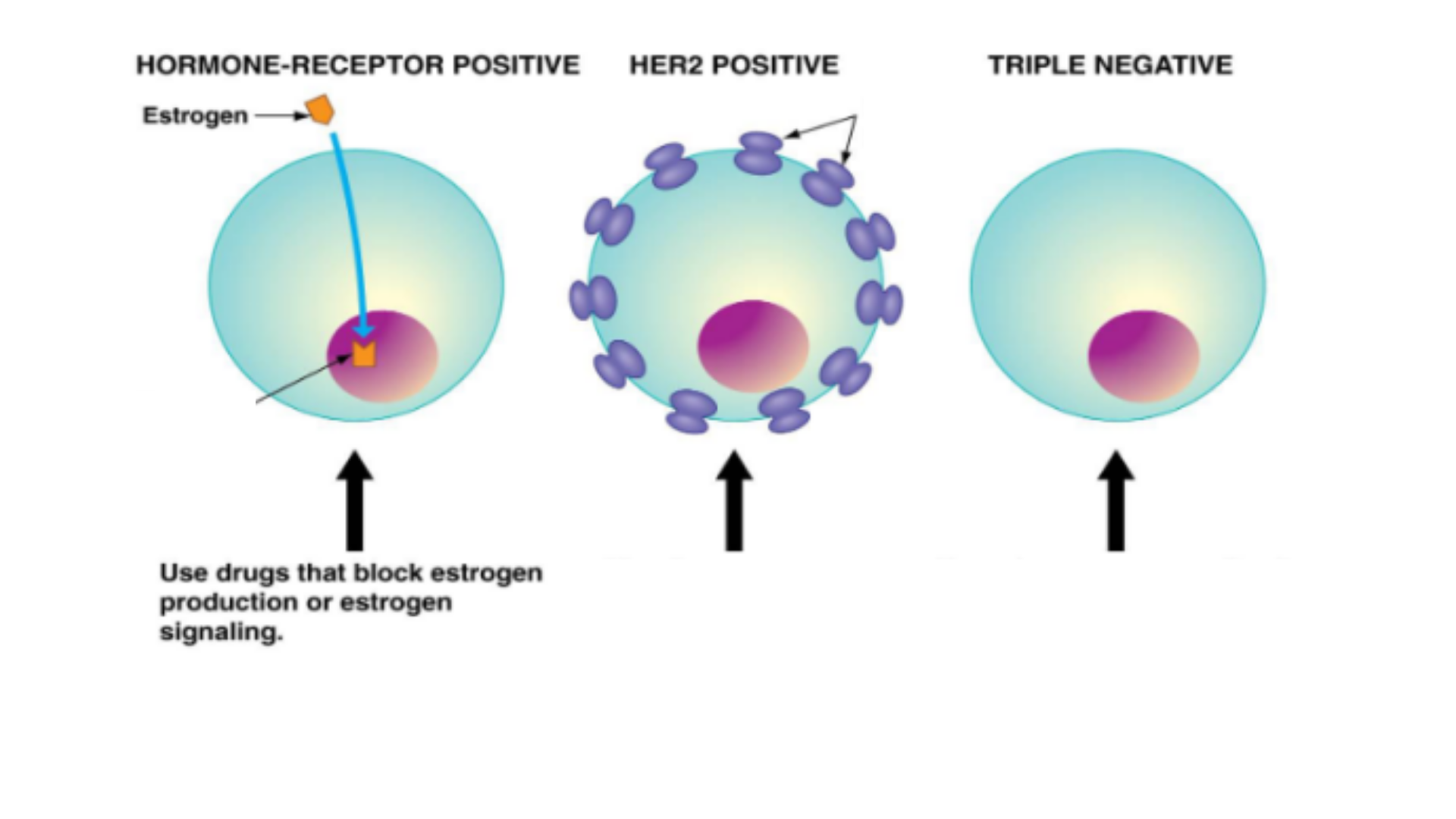 HCS304 Solution 4 Image