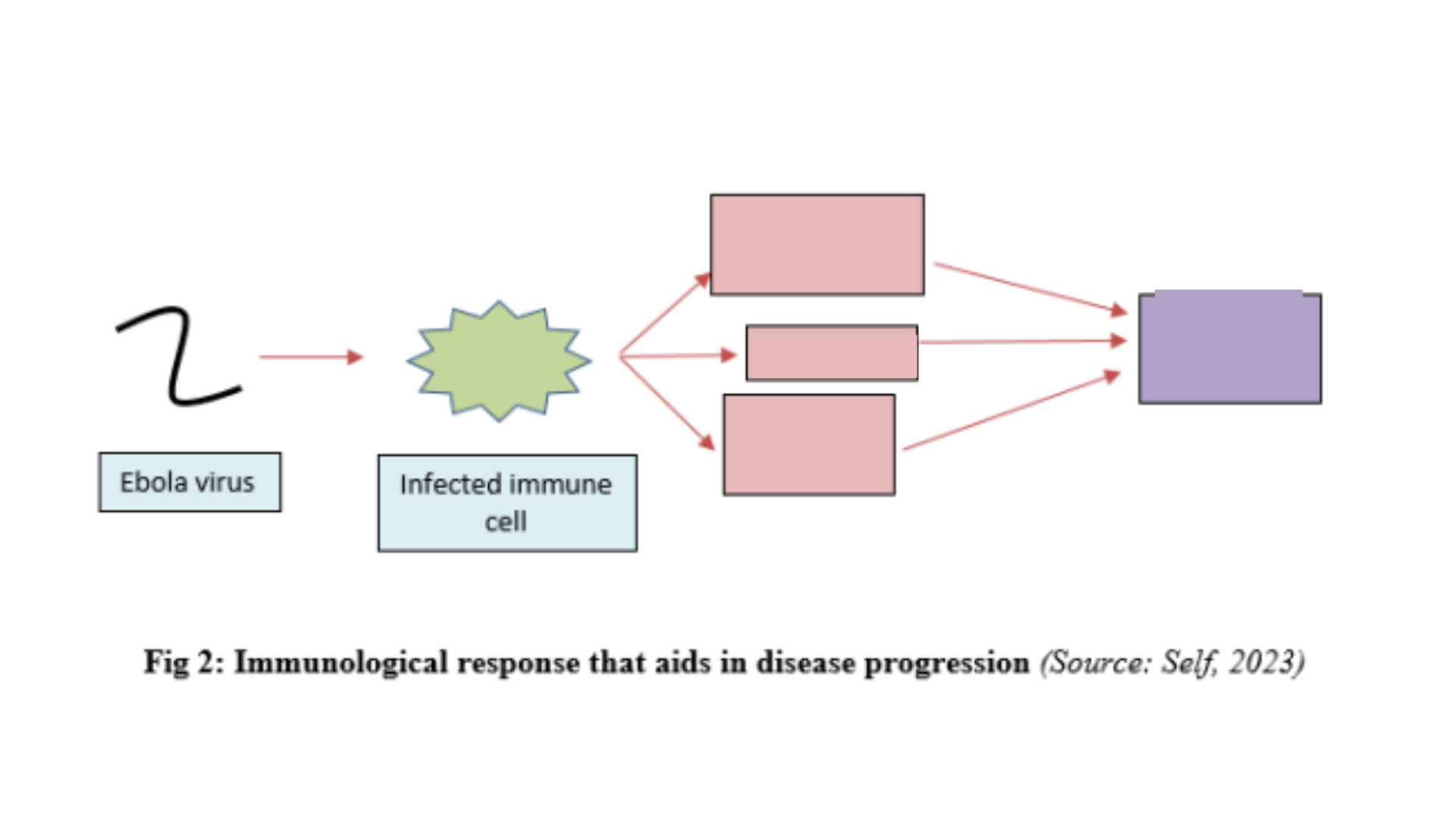 MD7006 Immunological response that aids in disease progression