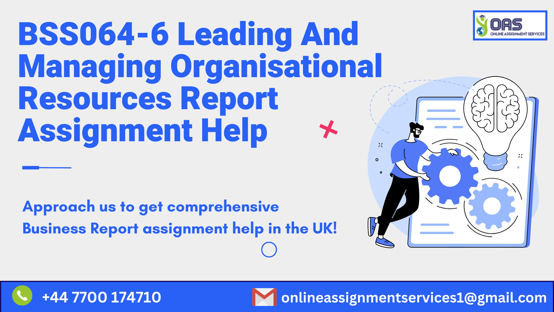 Buy BSS064-6 Leading And Managing Organisational Resources Report Assignment Help in the UK with OAS.