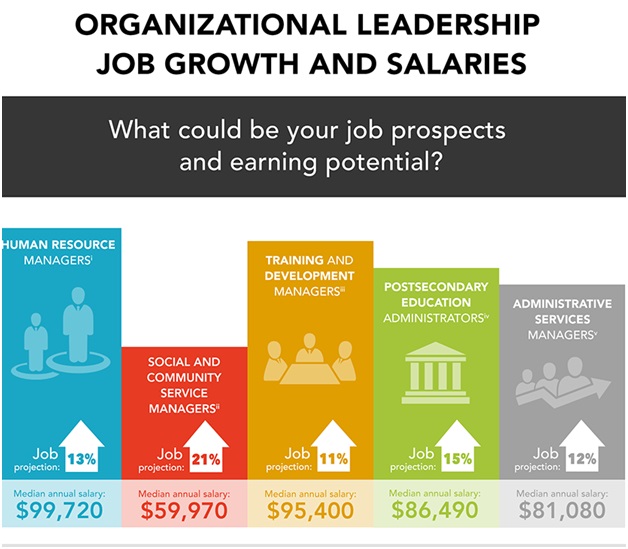 3 Leadership Assignment Help