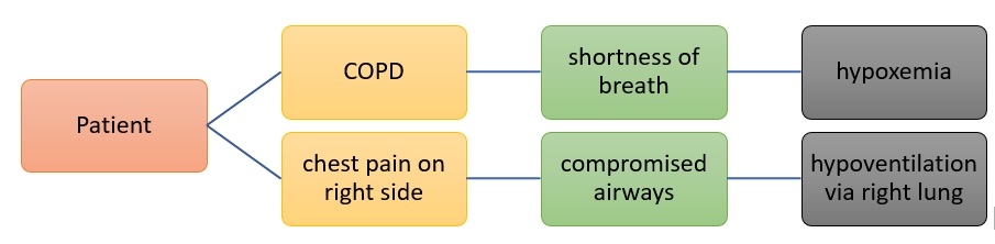 How to Approach a Pathophysiology Assignment