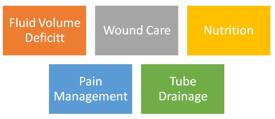 Nursing Diagnosis