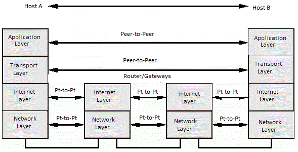 Computer and Network Protocol