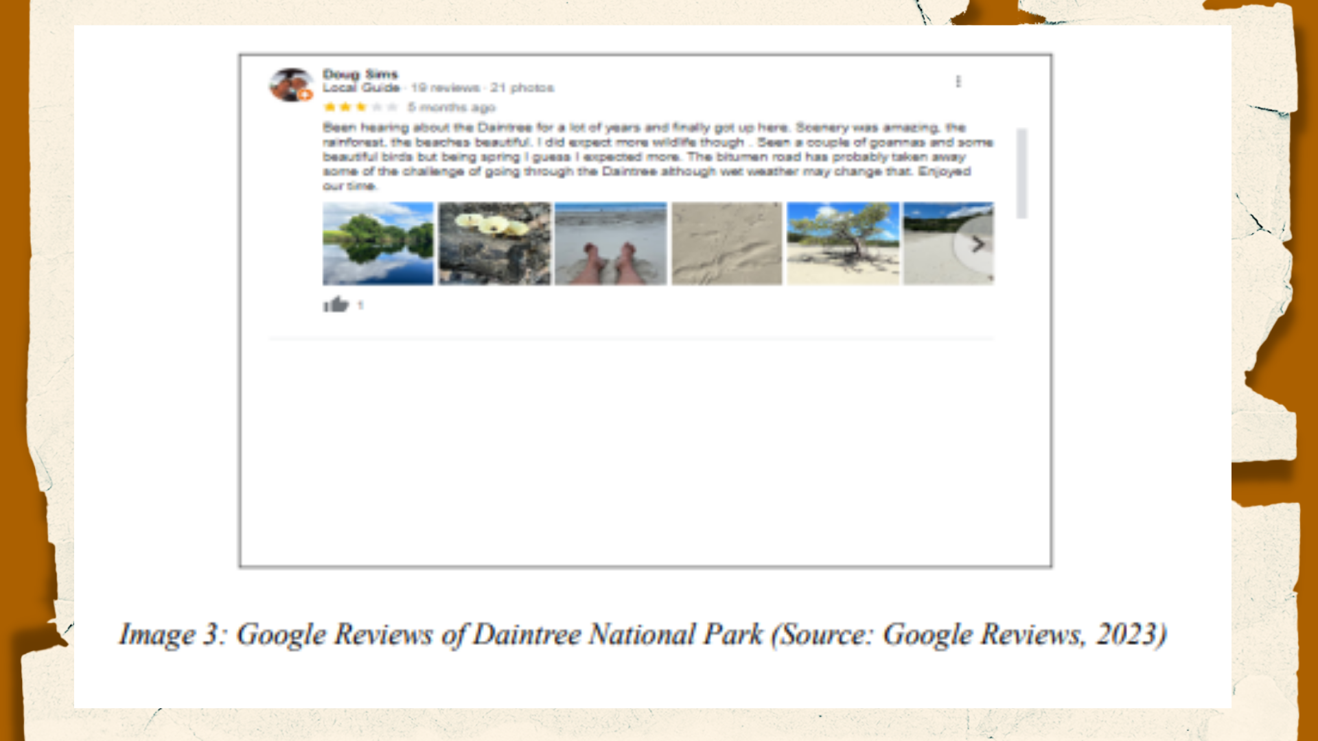 7258THS Google Reviews of Daintree National Park Screenshot 2