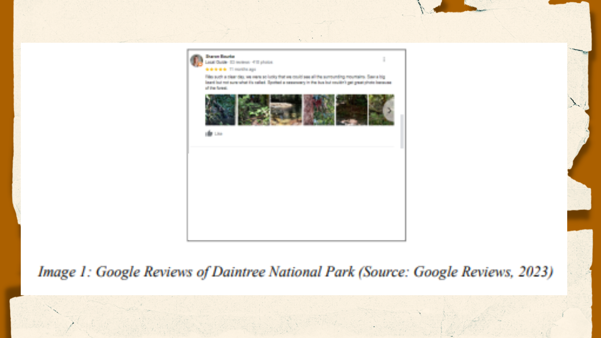 7258THS Google Reviews of Daintree National Park Screenshot