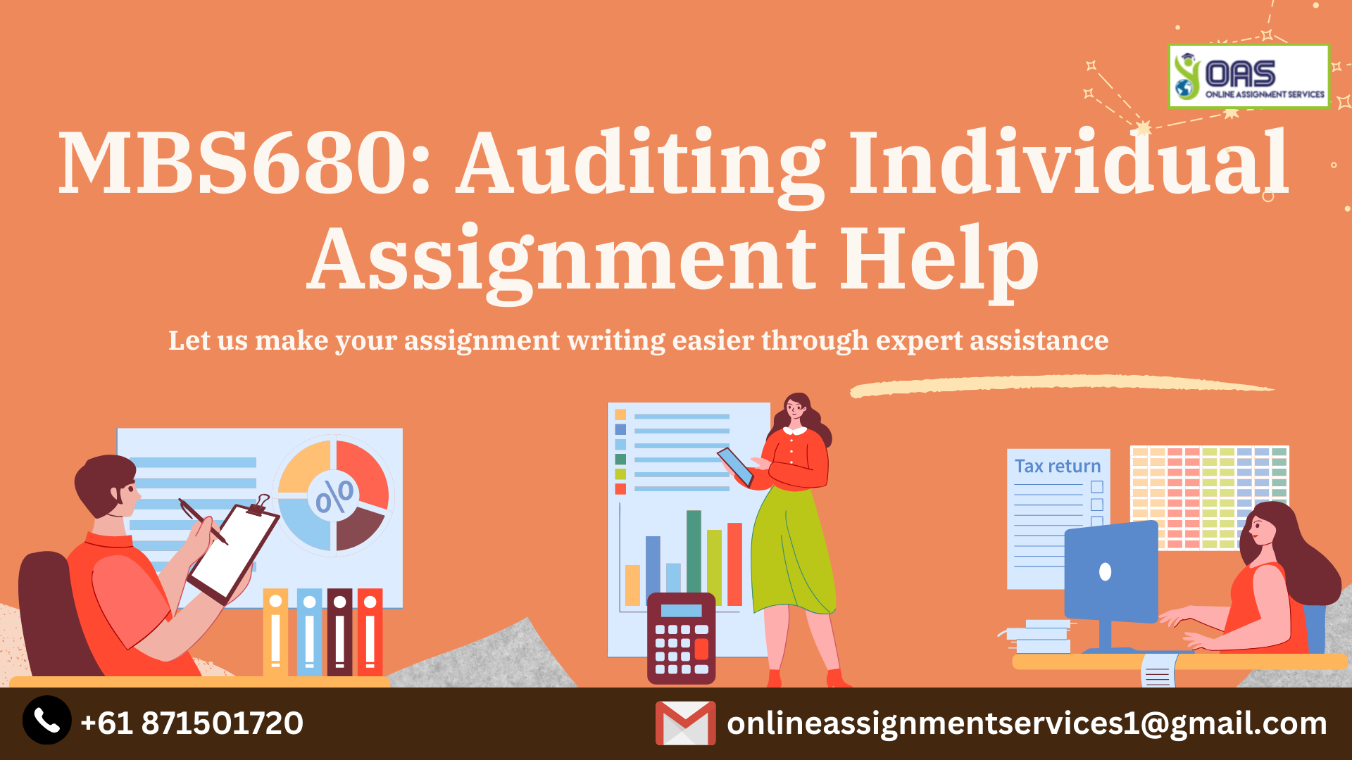 special assignment audit