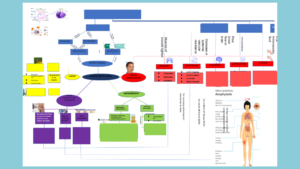 NURBN 3030 Mind Map