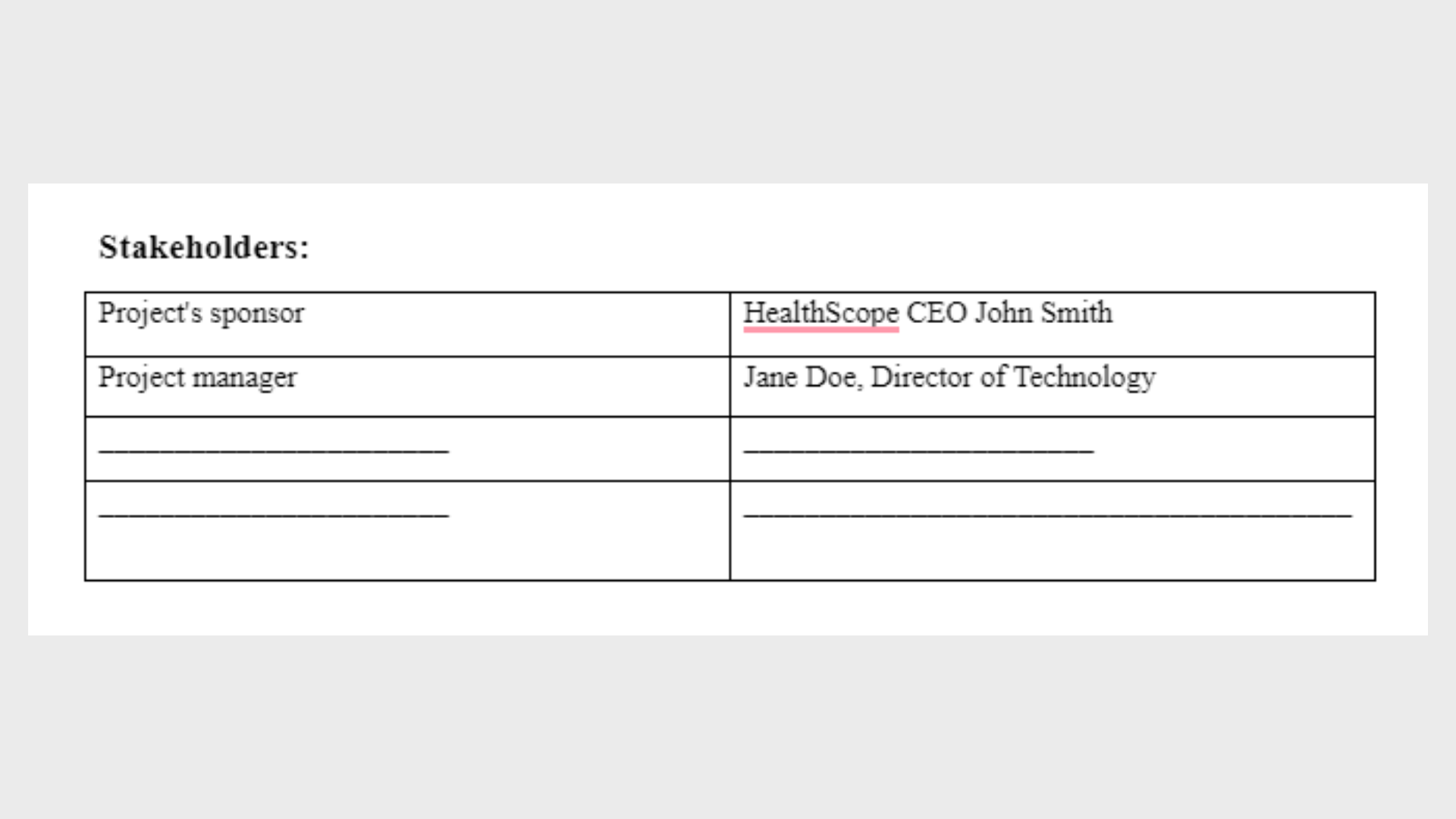 CIS5310 Stakeholders
