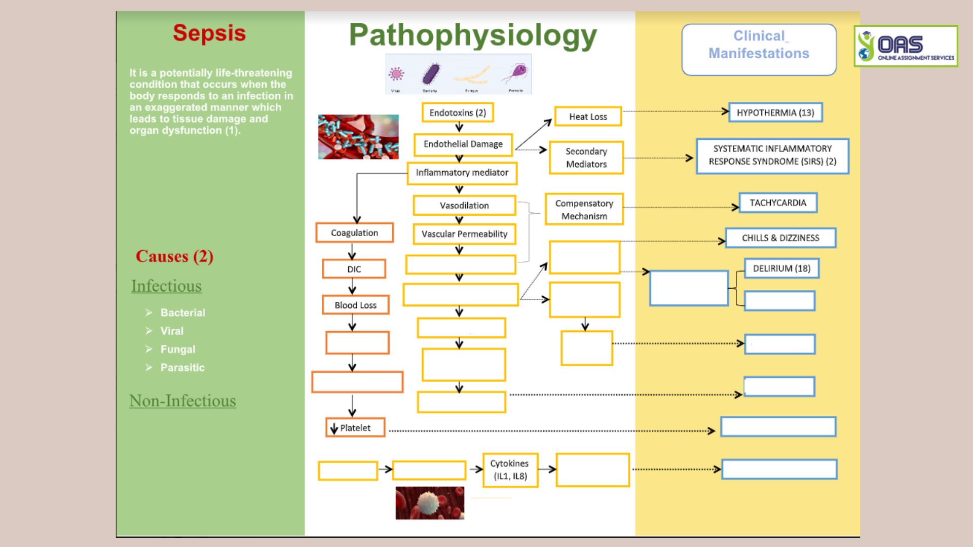 GMED5002 Pathophysiology