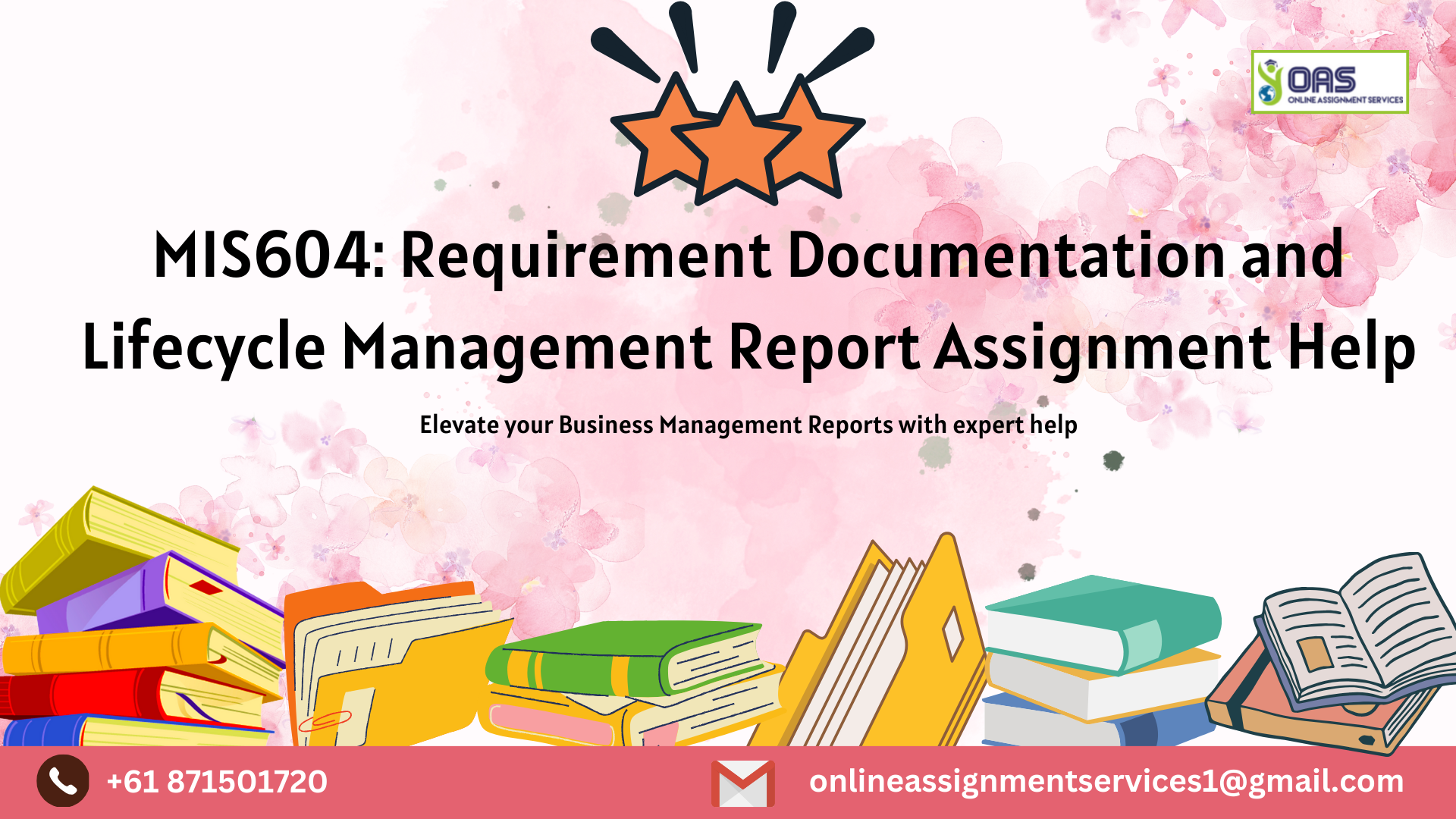 MIS604 Requirement Documentation and Lifecycle Management Report Assignment Help