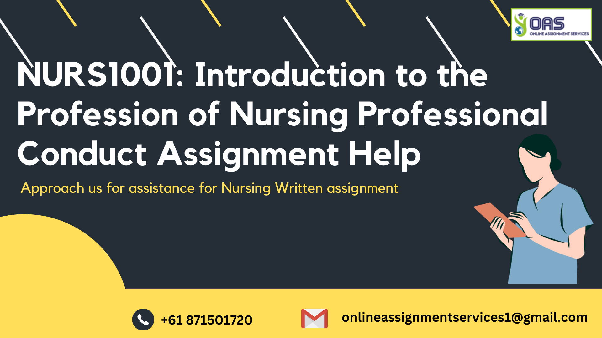 NURS1001 Introduction to the Profession of Nursing Professional Conduct Assignment Help