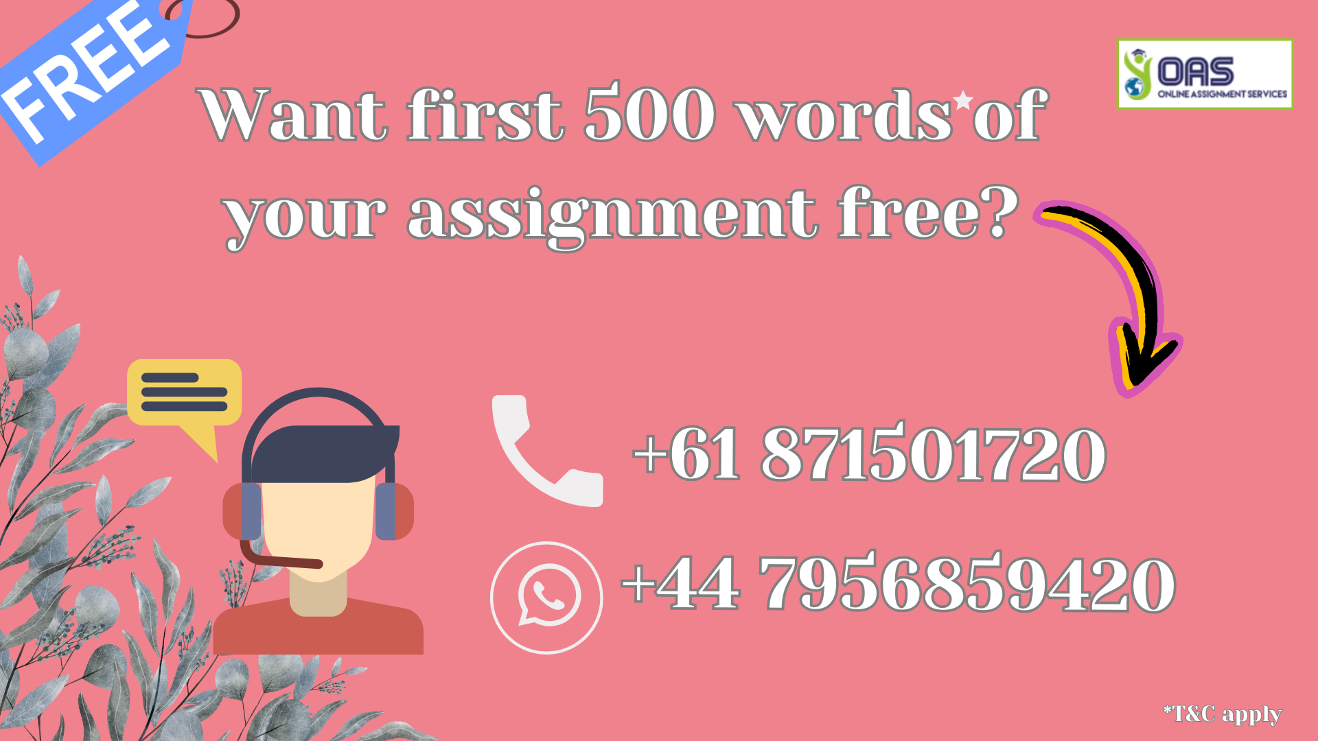 Want first 500 words of your assignment free for CAS203