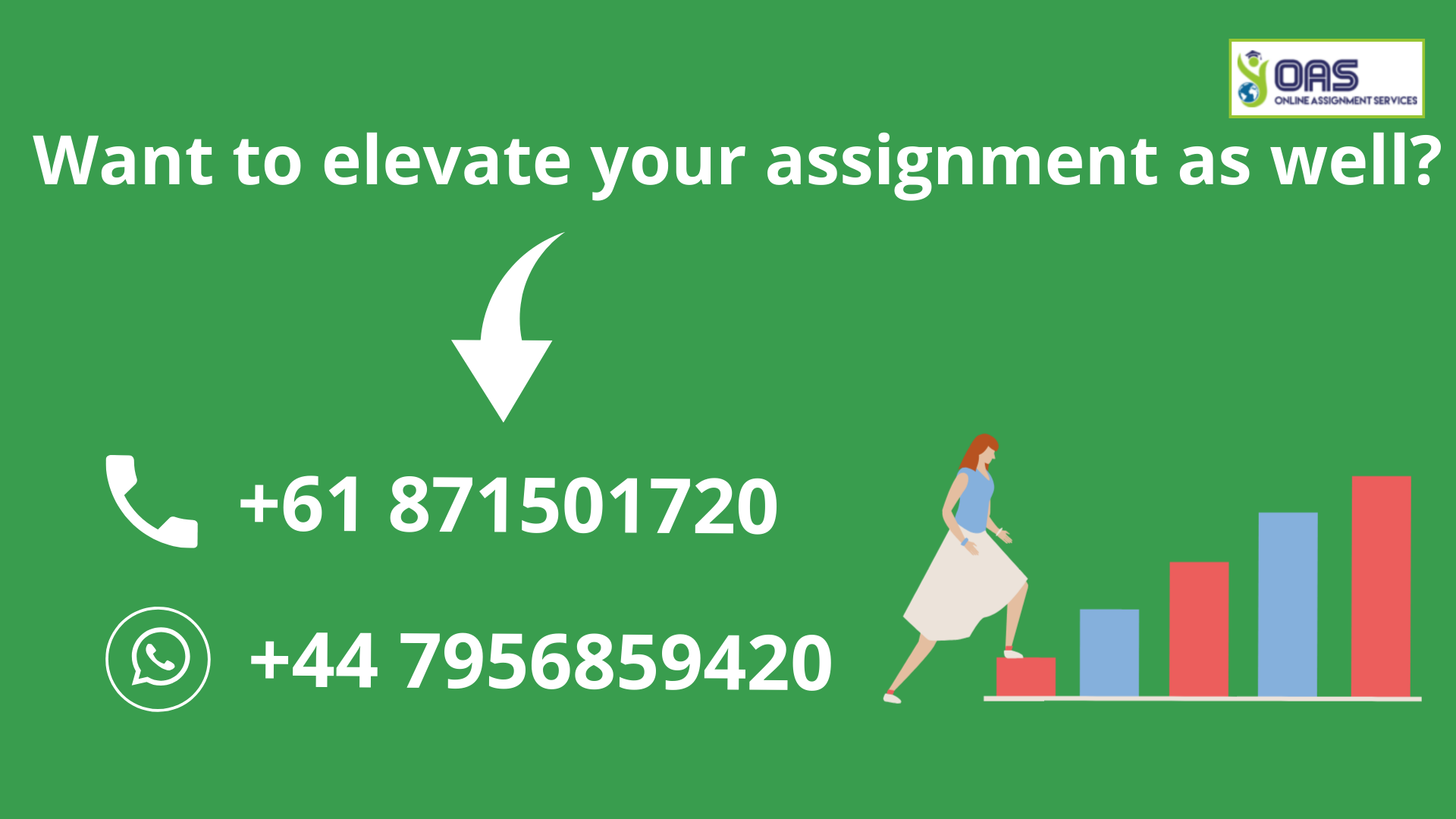 Want to elevate your assignment as well for MN501