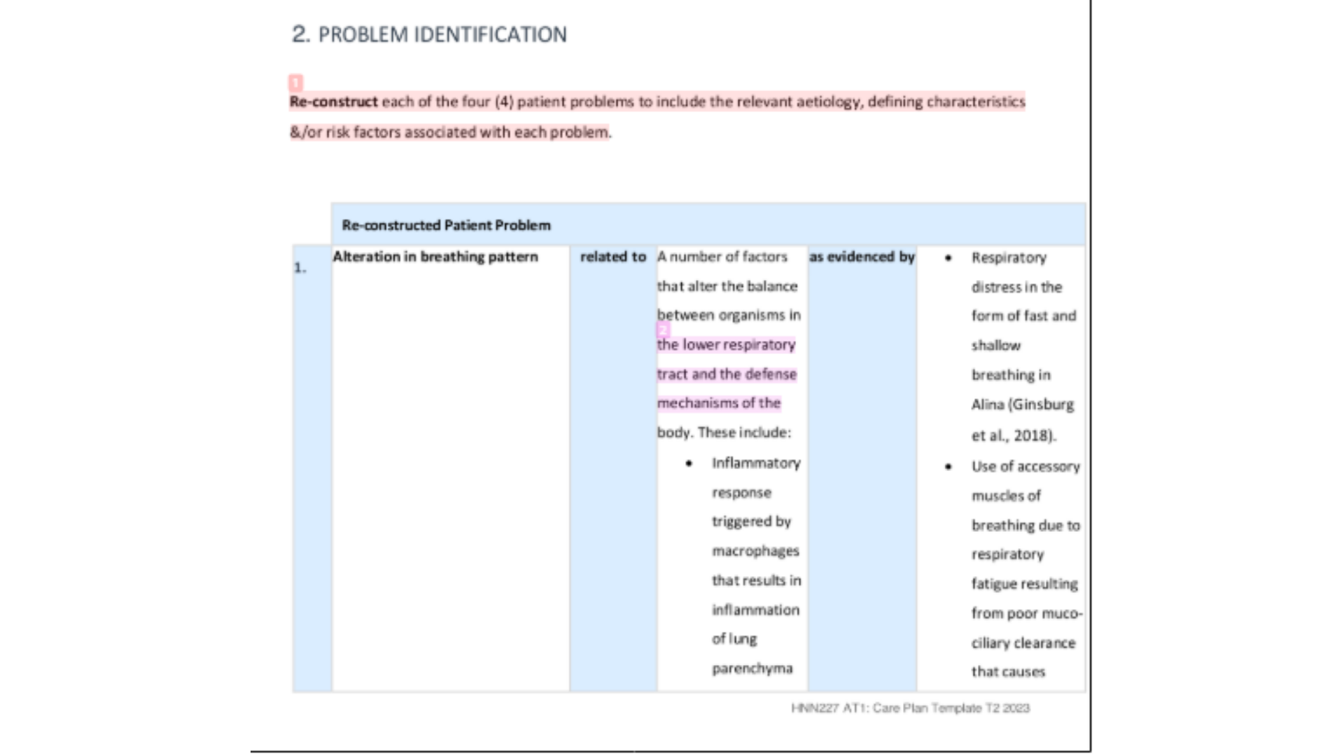 HNN227 Problem Identification