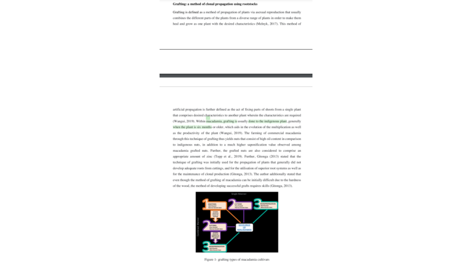 BIOL3213 Grafting a method of clonal propagation using rootstocks