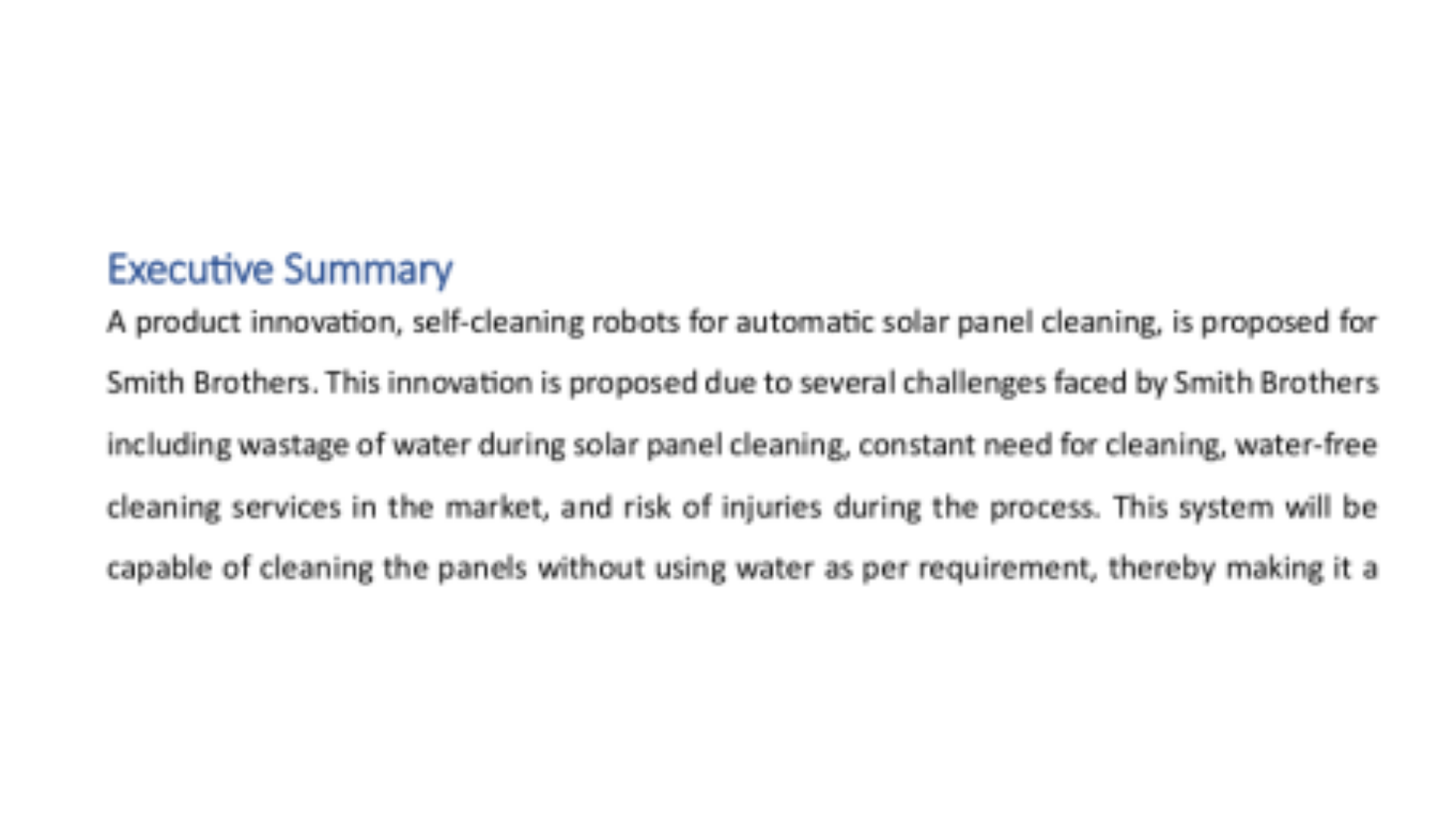 BU7030 Executive Summary