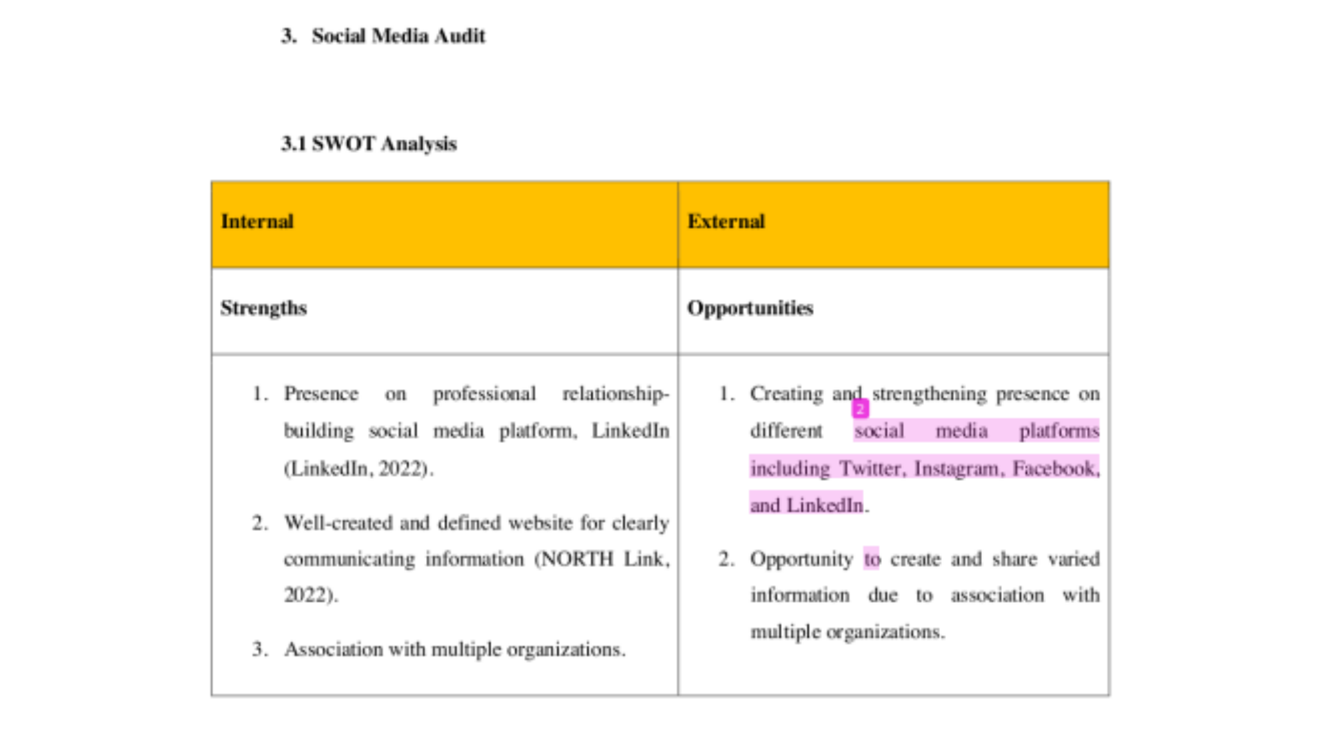 BUS2SMV Social Media Audit