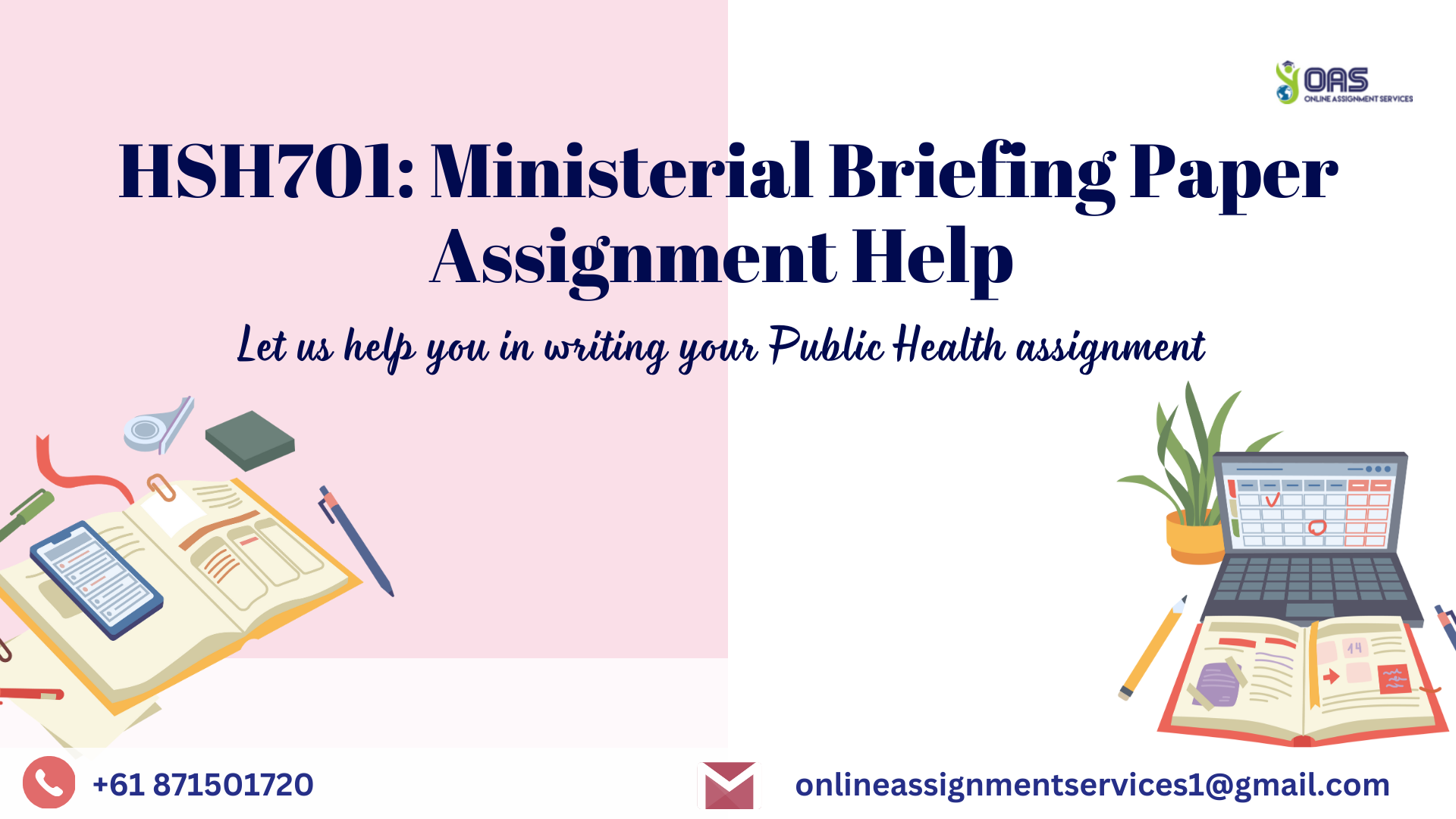 HSH701 Ministerial Briefing Paper Assignment Help