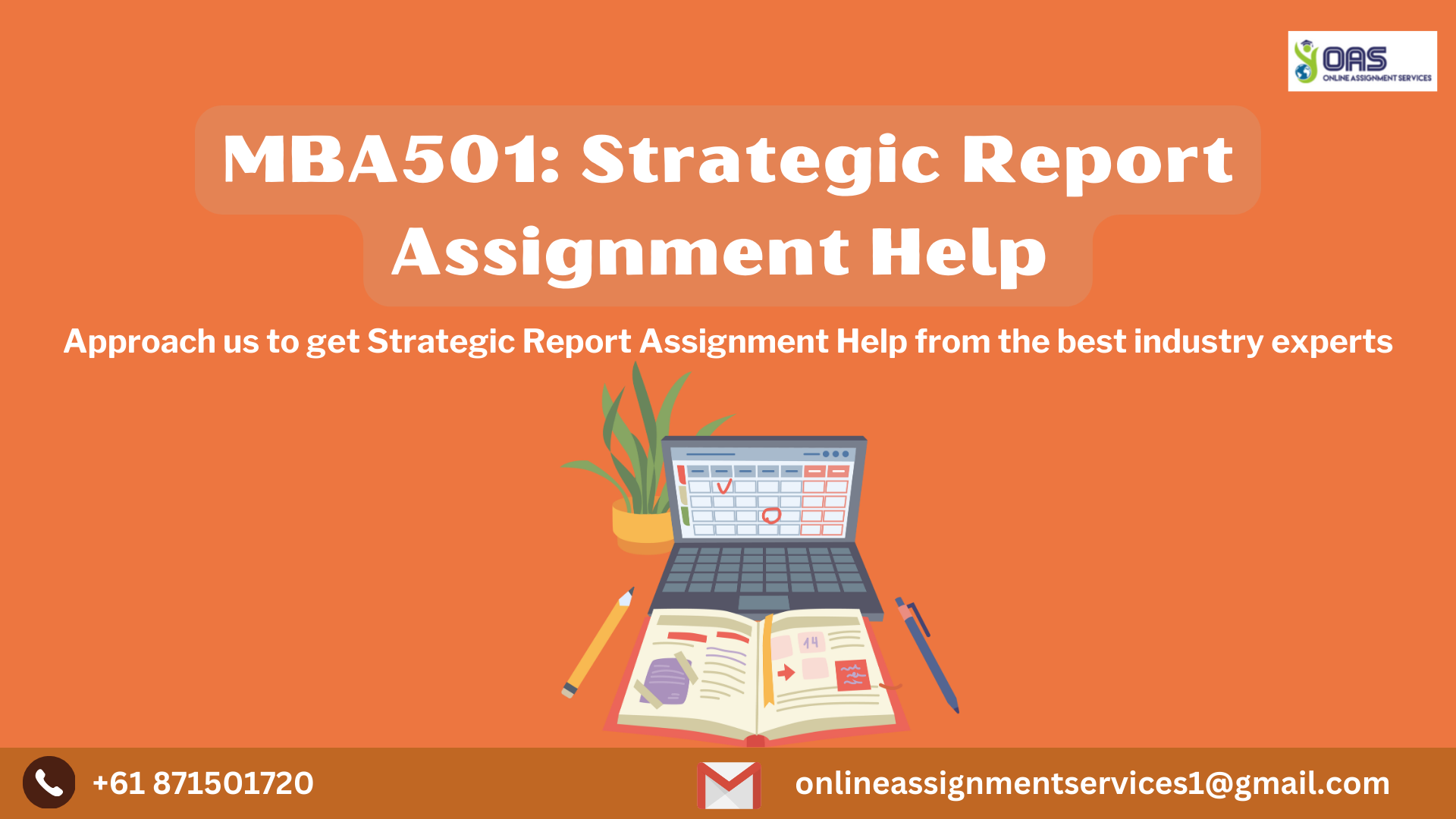 MBA501 Strategic Report Assignment Help