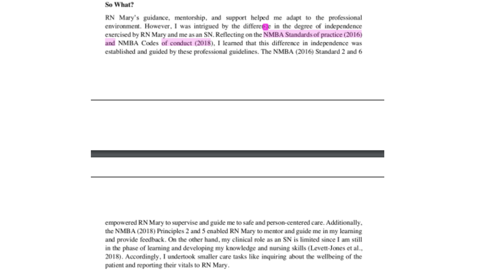 NURS13144 Role of NMBA Standards- So What